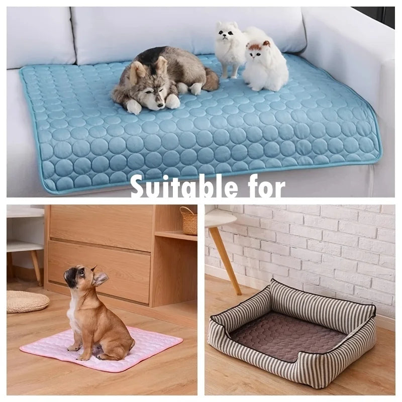 Tapis rafraîchissant pour chien en été