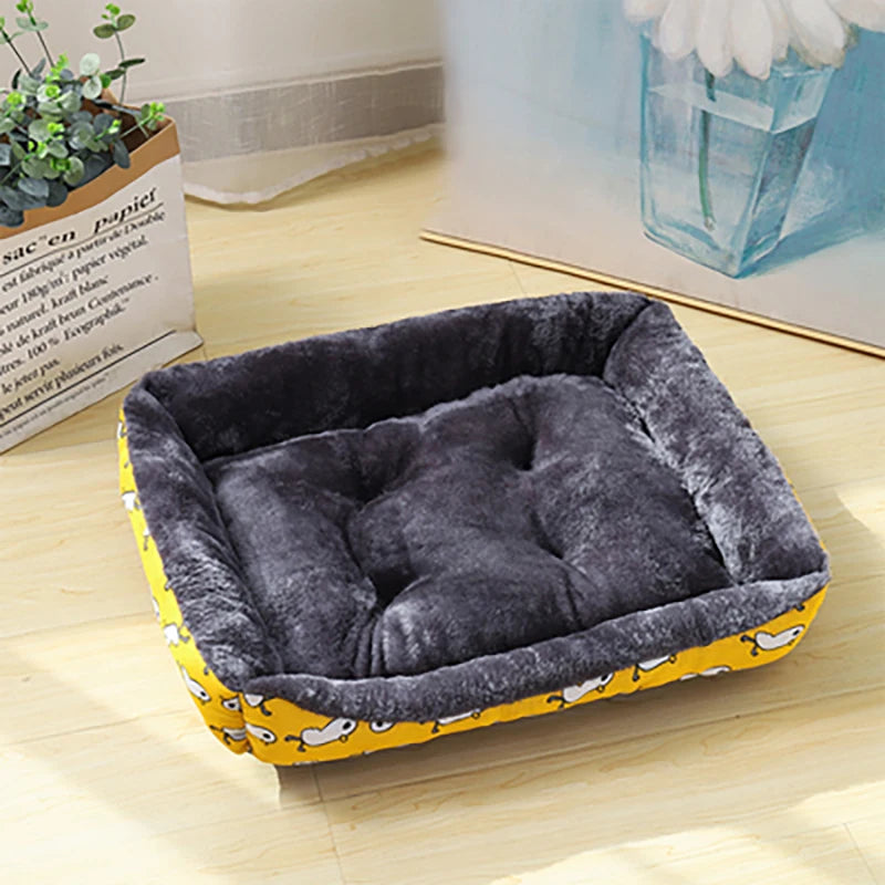 lit canapé pour chien