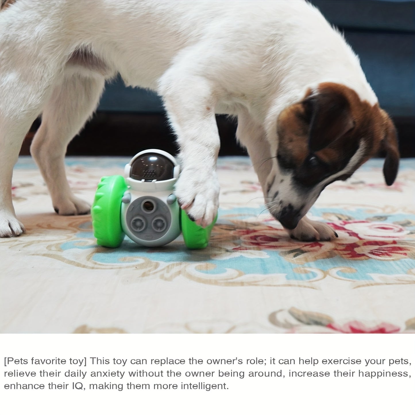 Jouet interactif pour chien