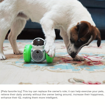 Jouet interactif pour chien